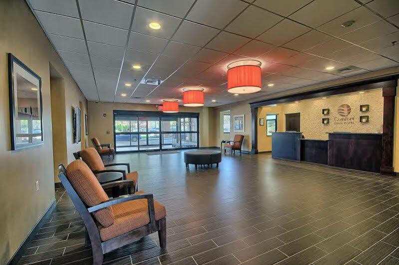 Wadsworth Comfort Inn & Suites מראה חיצוני תמונה